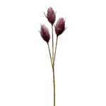 CFA584-PU:  14" HARE'S TAIL STEM PURPLE