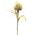 CFA768-BE/TN: 25" PROTEA SPRAY BEIGE TAN