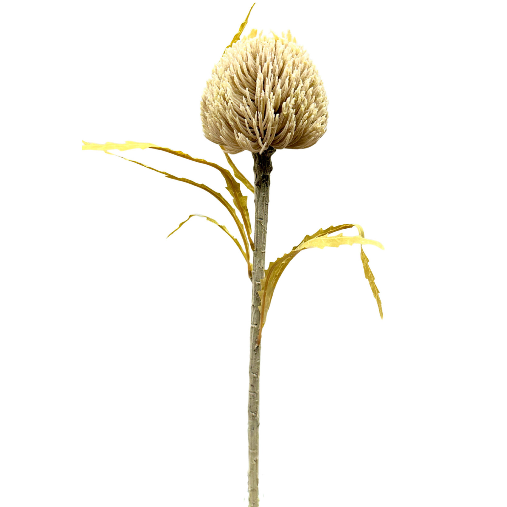 25" PROTEA SPRAY BEIGE TAN