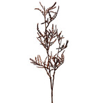 CFA739-TF: 37" SPIRAEA THUNBERGII SPRAY TOFFEE