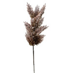 CFA091-BR: 34.5" PAMPAS GRASS SPRAY BROWN