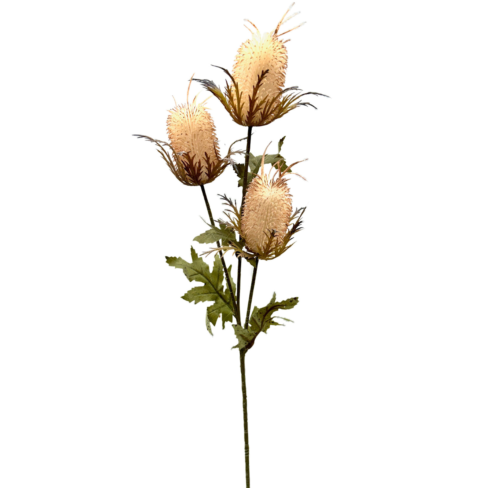 26" THISTLE SPRAY BEIGE