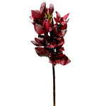 CSO414-BK: 23" CYMBIDIUM ORCHID BLACK