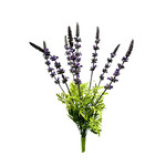 CSL203-LV: 18" GARDEN LAVENDER BUSH LAVENDER