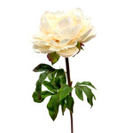 CSP596-CR/WI: 20.5" NATURAL TOUCH PEONY CREAM WINE