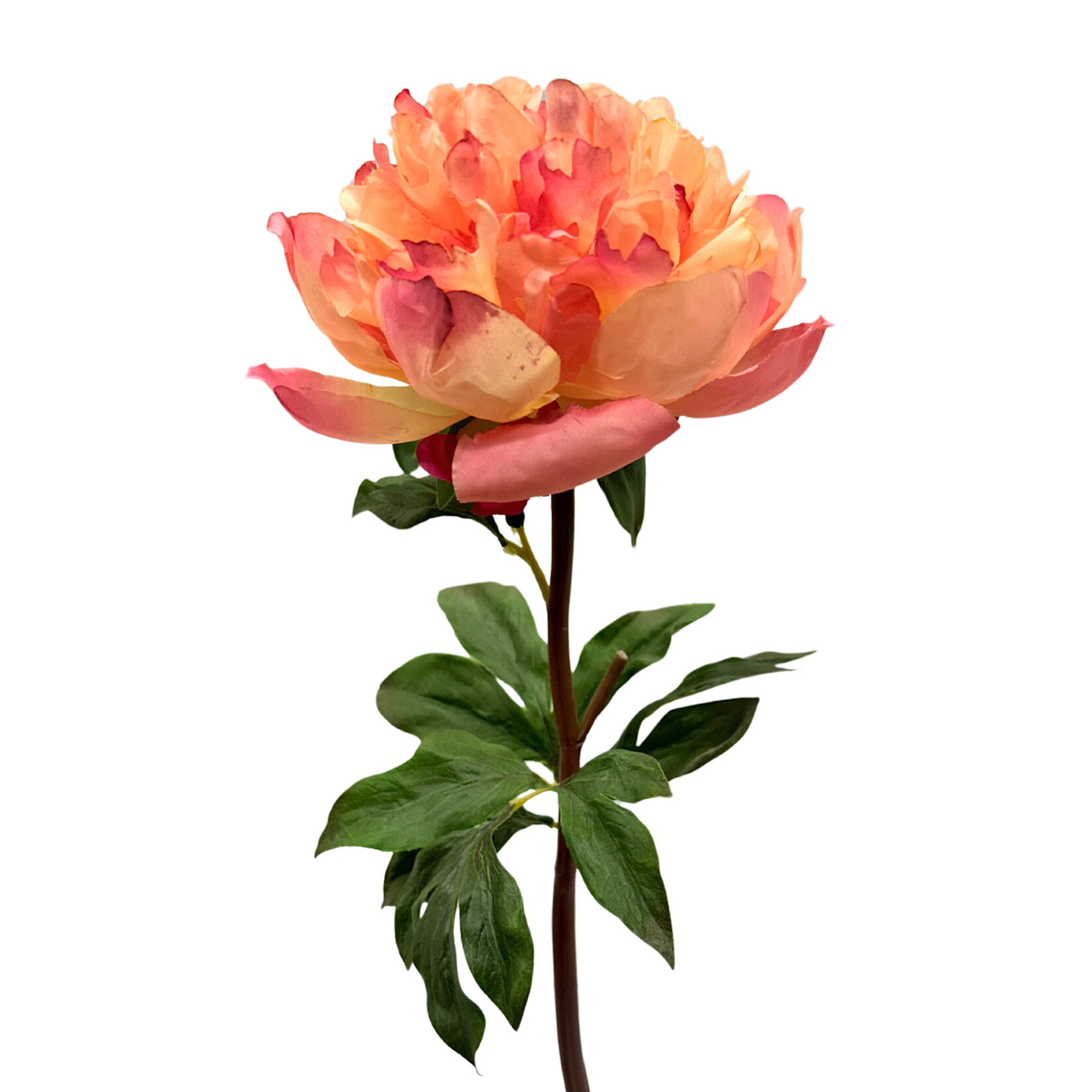 21" PEONY OPEN SHORT STEM SALMON