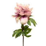 CSP046-LV: 20.5" PEONY STEM LAVENDER