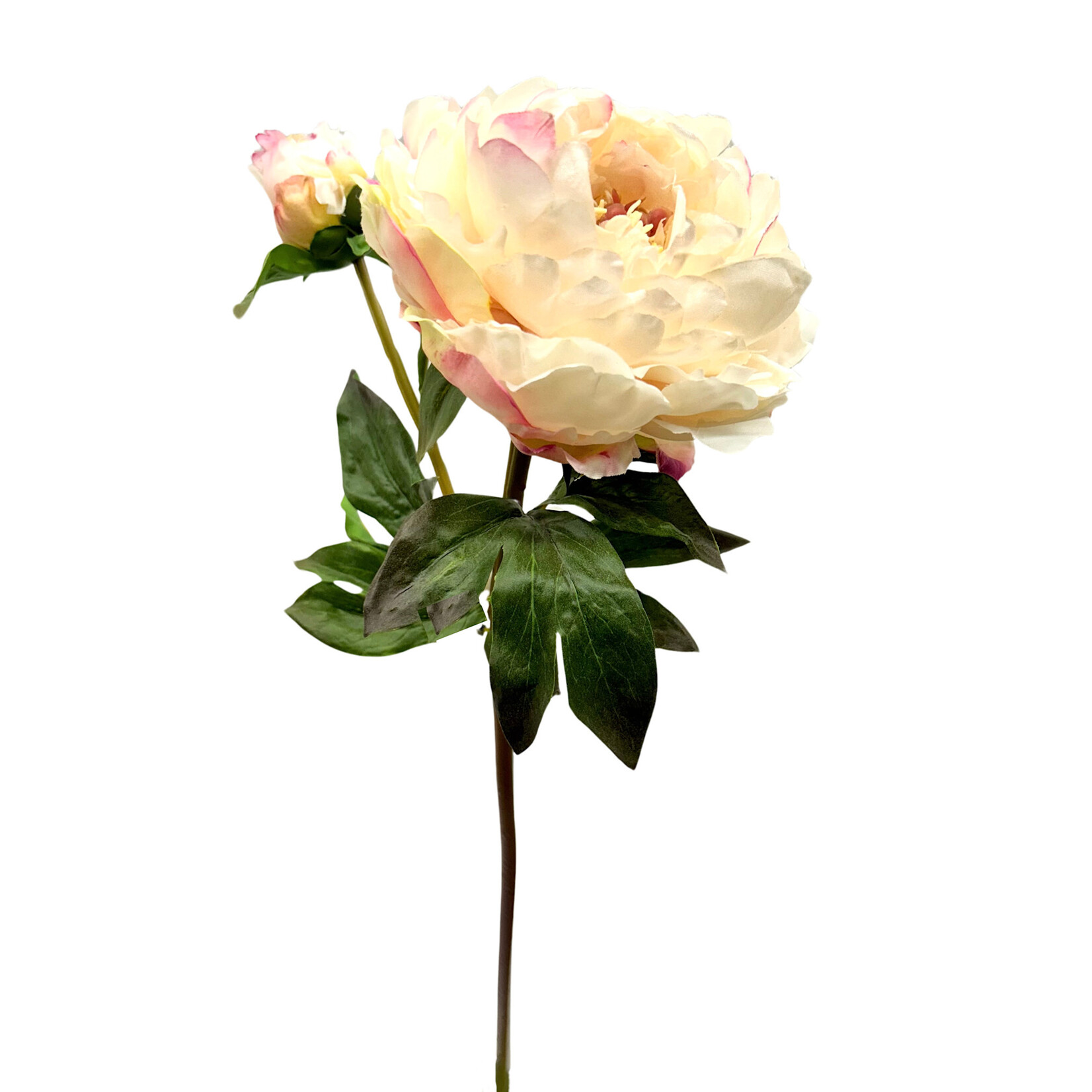 21.5" OPEN PEONY SHORT STEM CREAM