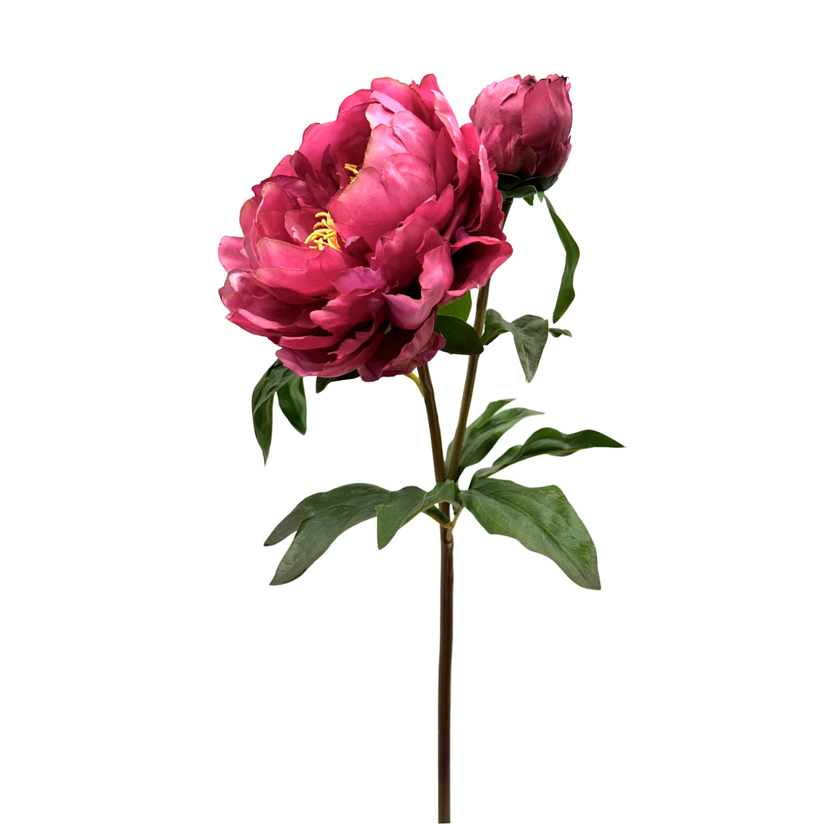 21.5" OPEN PEONY SHORT STEM ORCHID