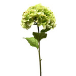 CSH263-GN: 28" HYDRANGEA LIGHT GREEN