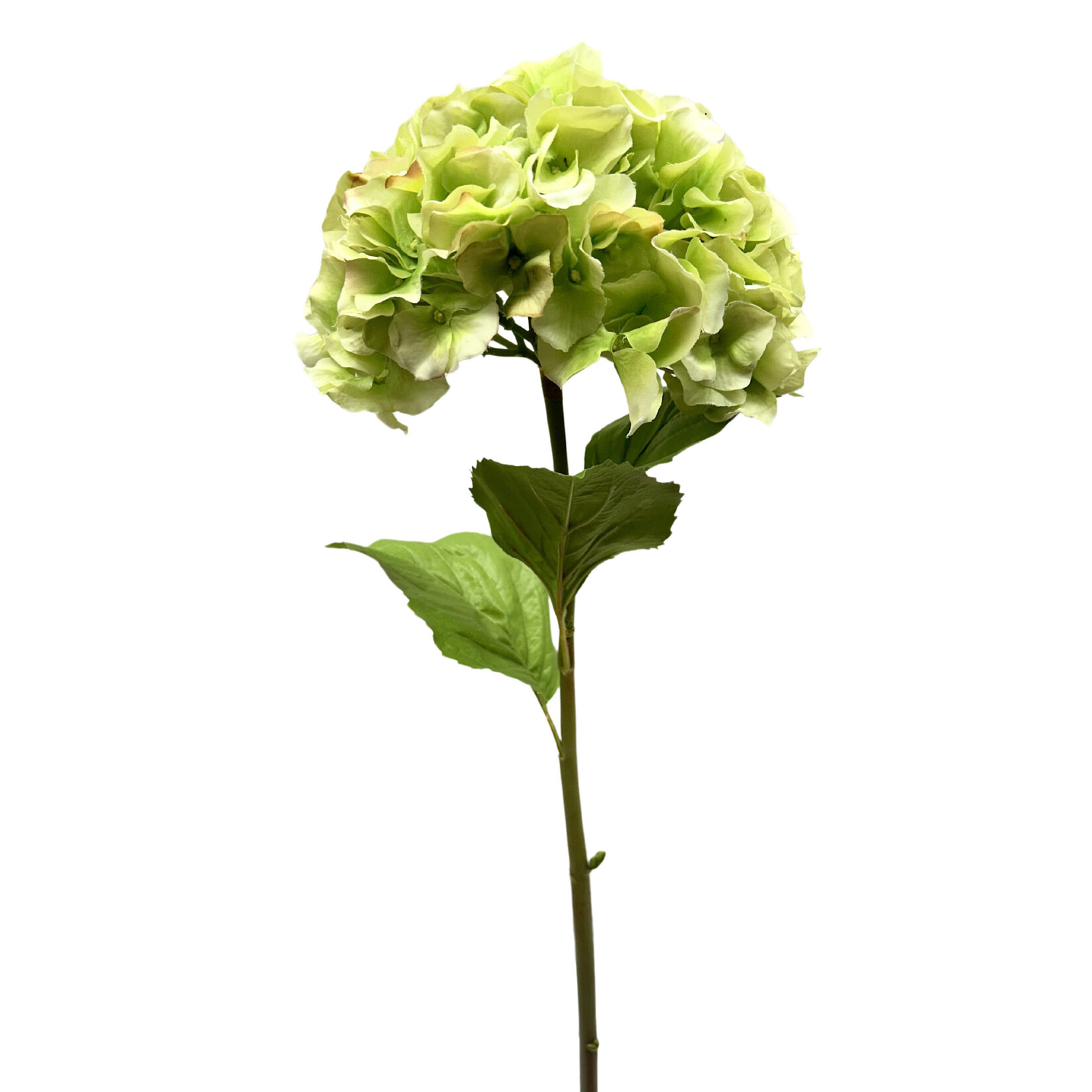 28" HYDRANGEA LIGHT GREEN