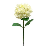 CSH405-CR: 30" GARDEN HYDRANGEA SPRAY CREAM