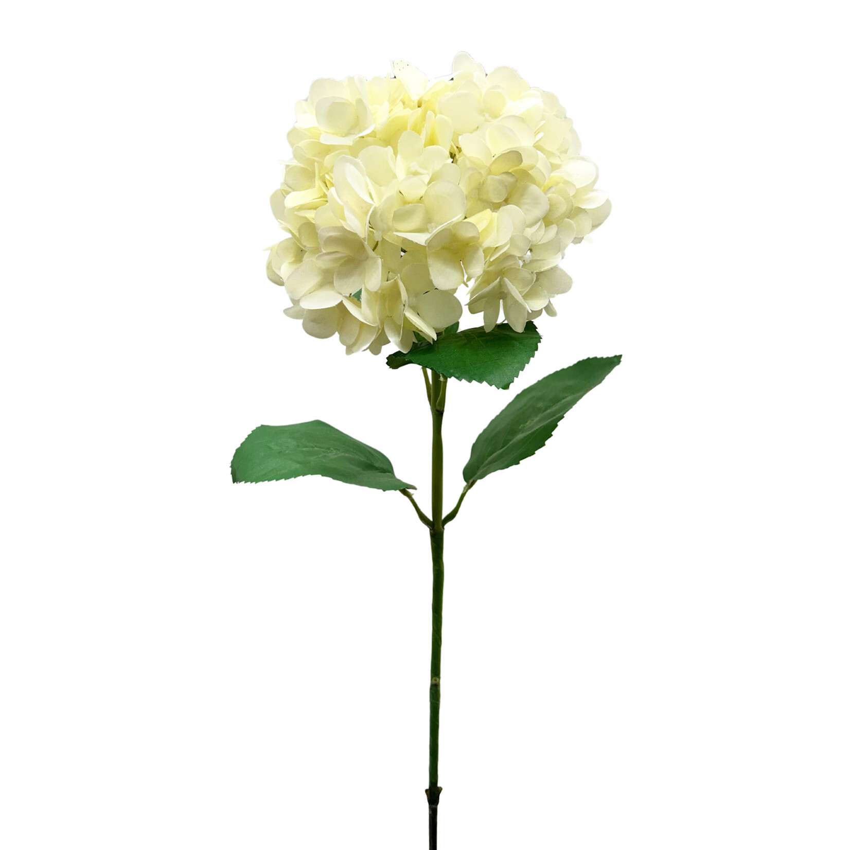 30" GARDEN HYDRANGEA SPRAY CREAM