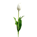 CST657-WH: 24.5" CLOSED DUTCH TULIP WHITE