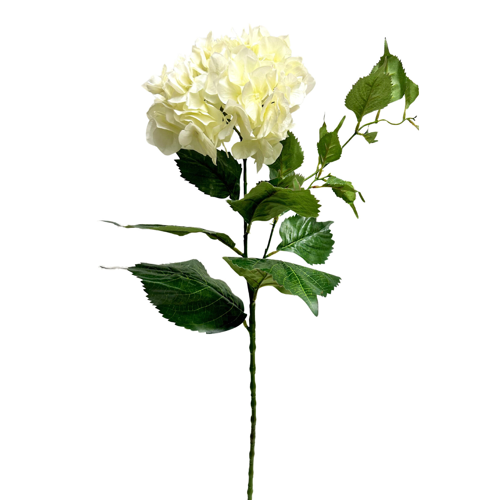 34" HYDRANGEA SPRAY CREAM WHITE