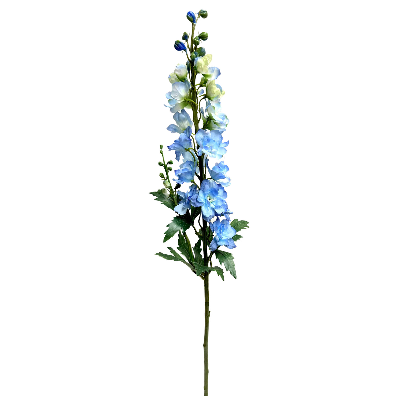 35" DELPHINIUM SPRAY BLUE DELPHINIUM