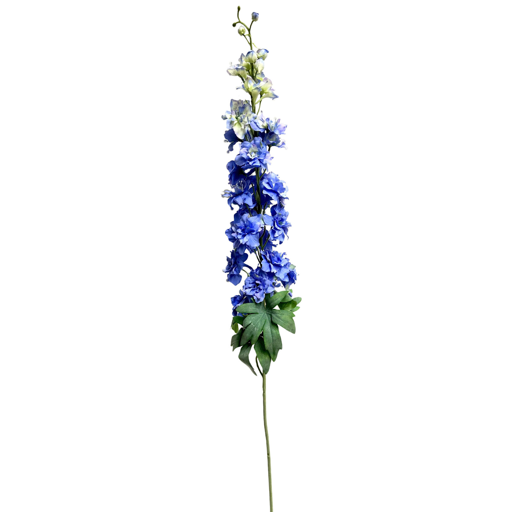 40" DELPHINIUM SPRAY BLUE DELPHINIUM