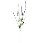 CSL314-BL: 33" LAVENDER SPRAY BLUE