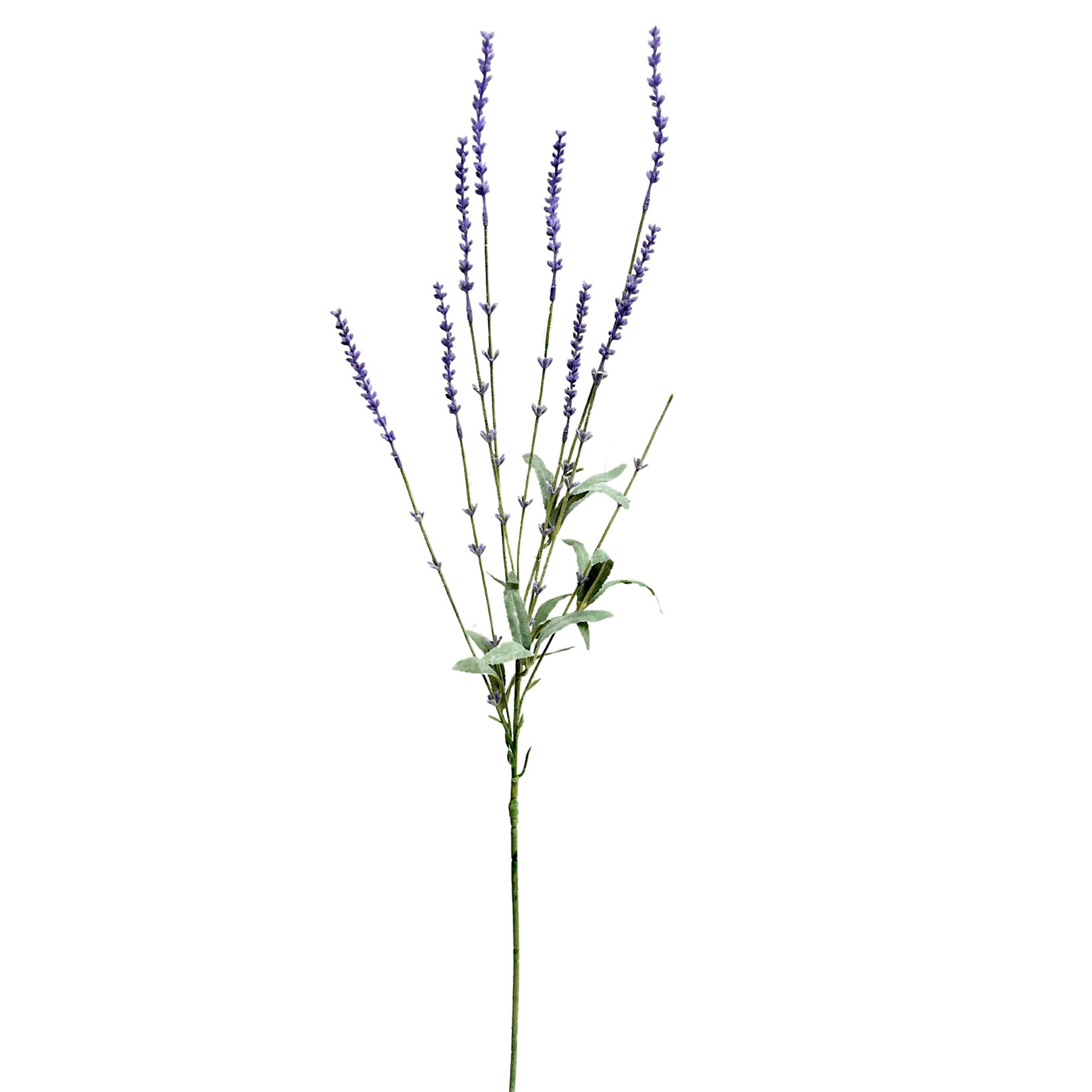 33" LAVENDER SPRAY BLUE