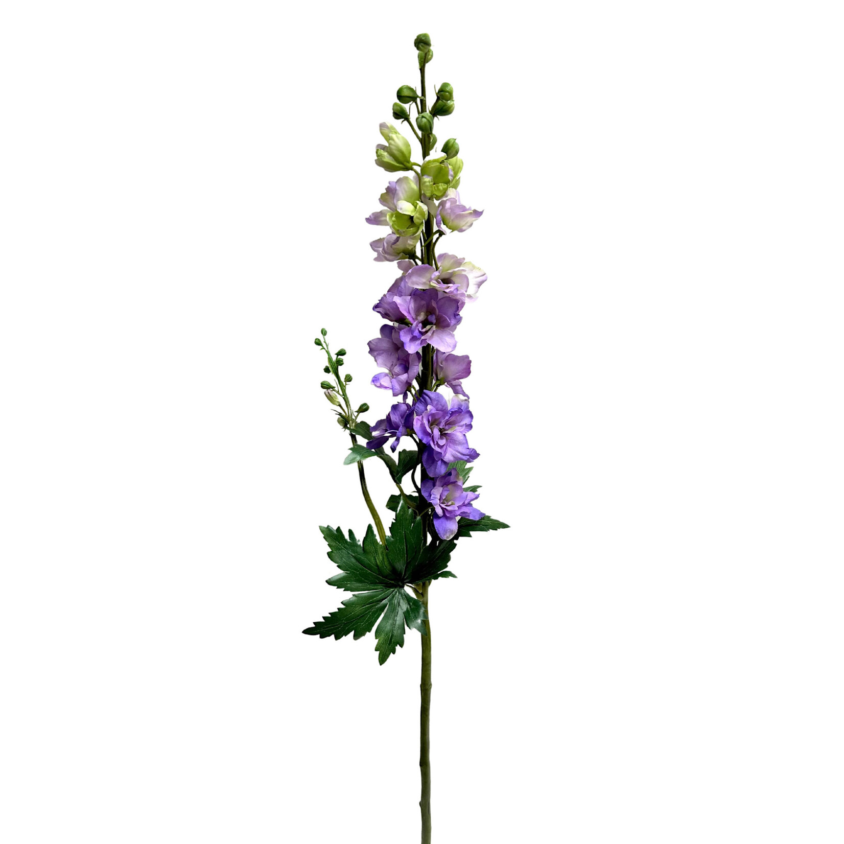 35" DELPHINIUM LILAC