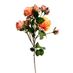 CSR428-PE/RE: 20" ENGLISH CECILIA ROSE SPRAY PEACH RED