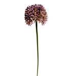CSA041-PU/GN: 17.5" ALLIUM SPRAY PURPLE GREEN