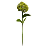CGE321-GN: 20" SEDUM SPRAY GREEN