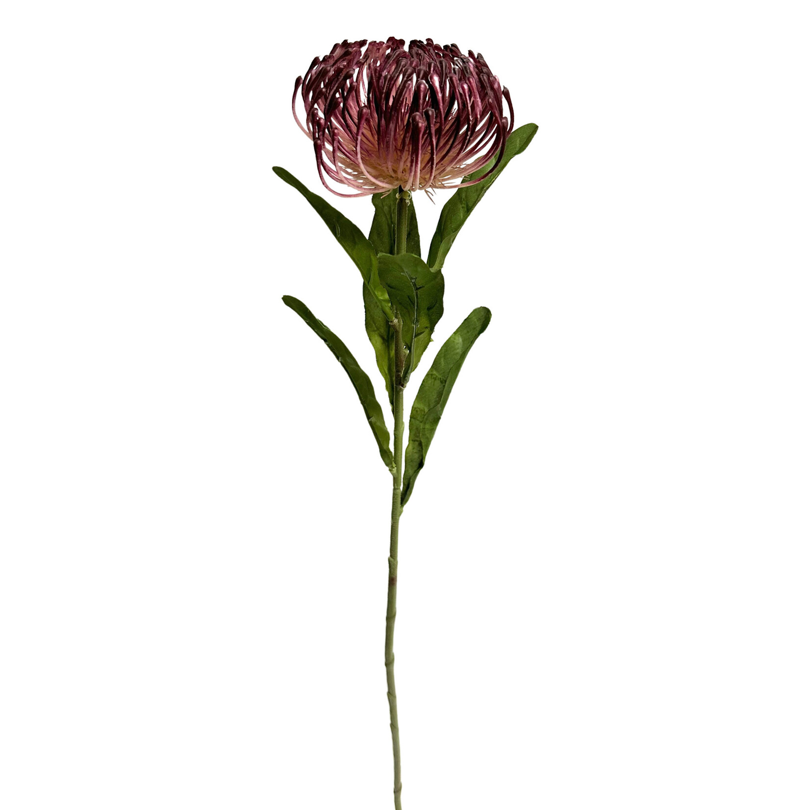 26" OPEN NEEDLE PROTEA SPRAY BURGUNDY