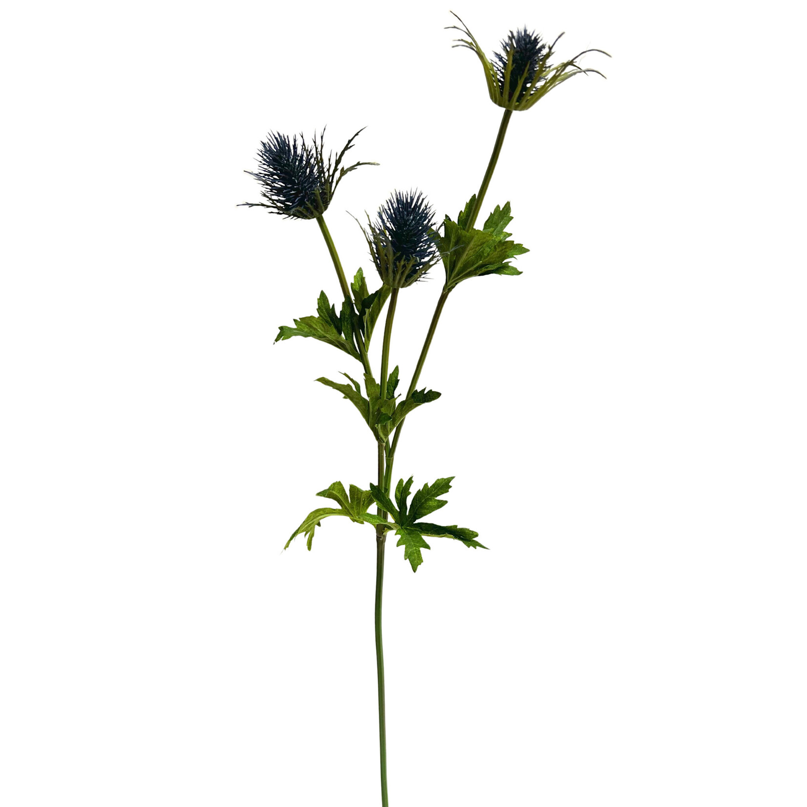 32.5" THISTLE SPRAY HELIO