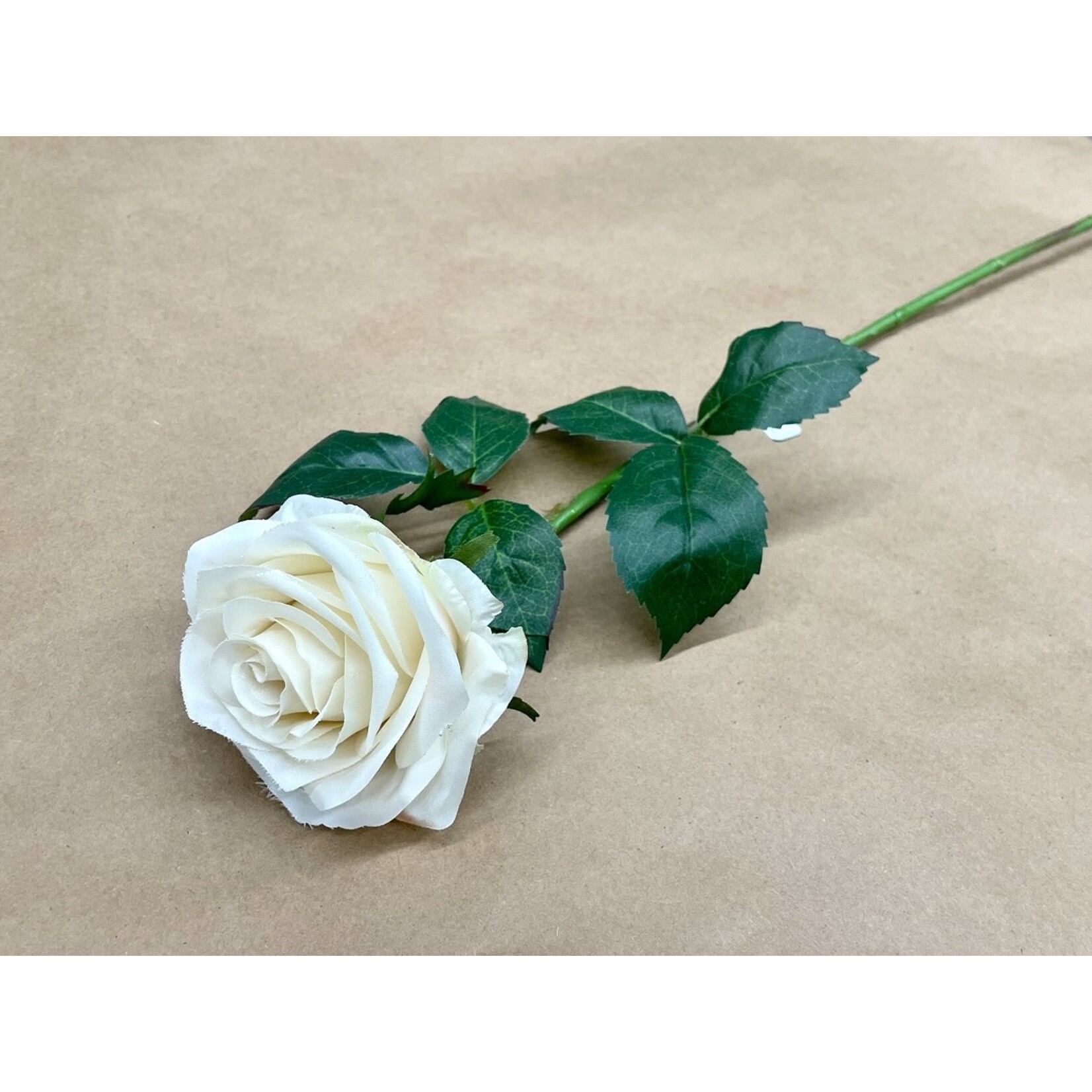 21.5" ROSE SPRAY BEIGE