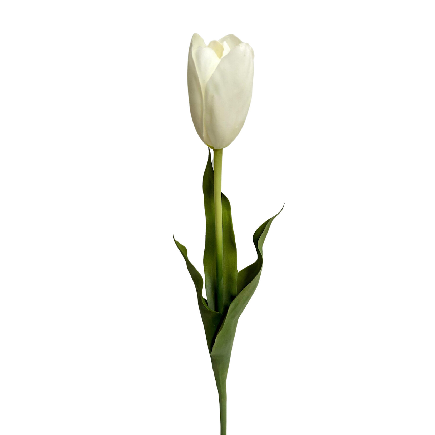 23" TULIP STEM WHITE