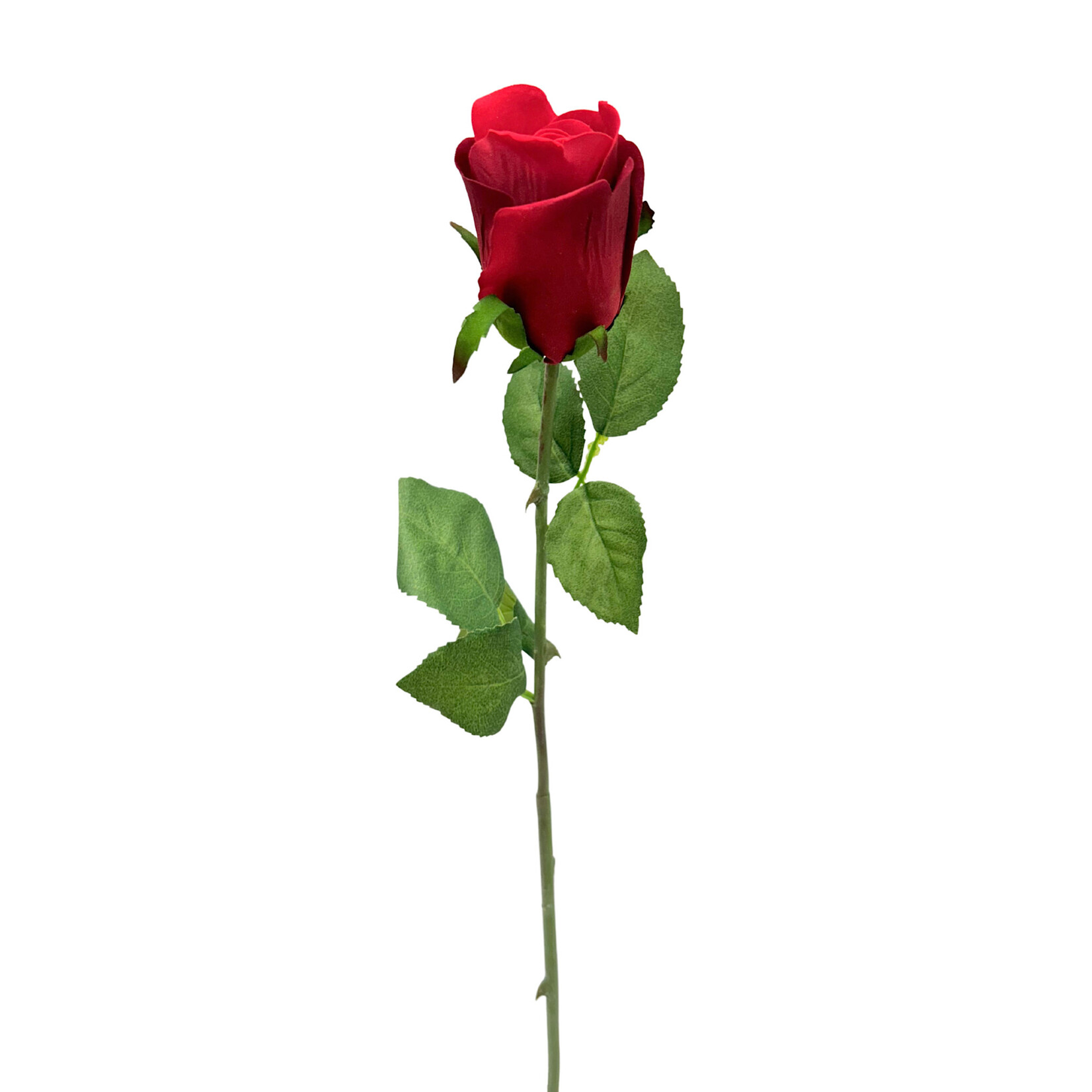 26" VELVET ROSE BUD RED