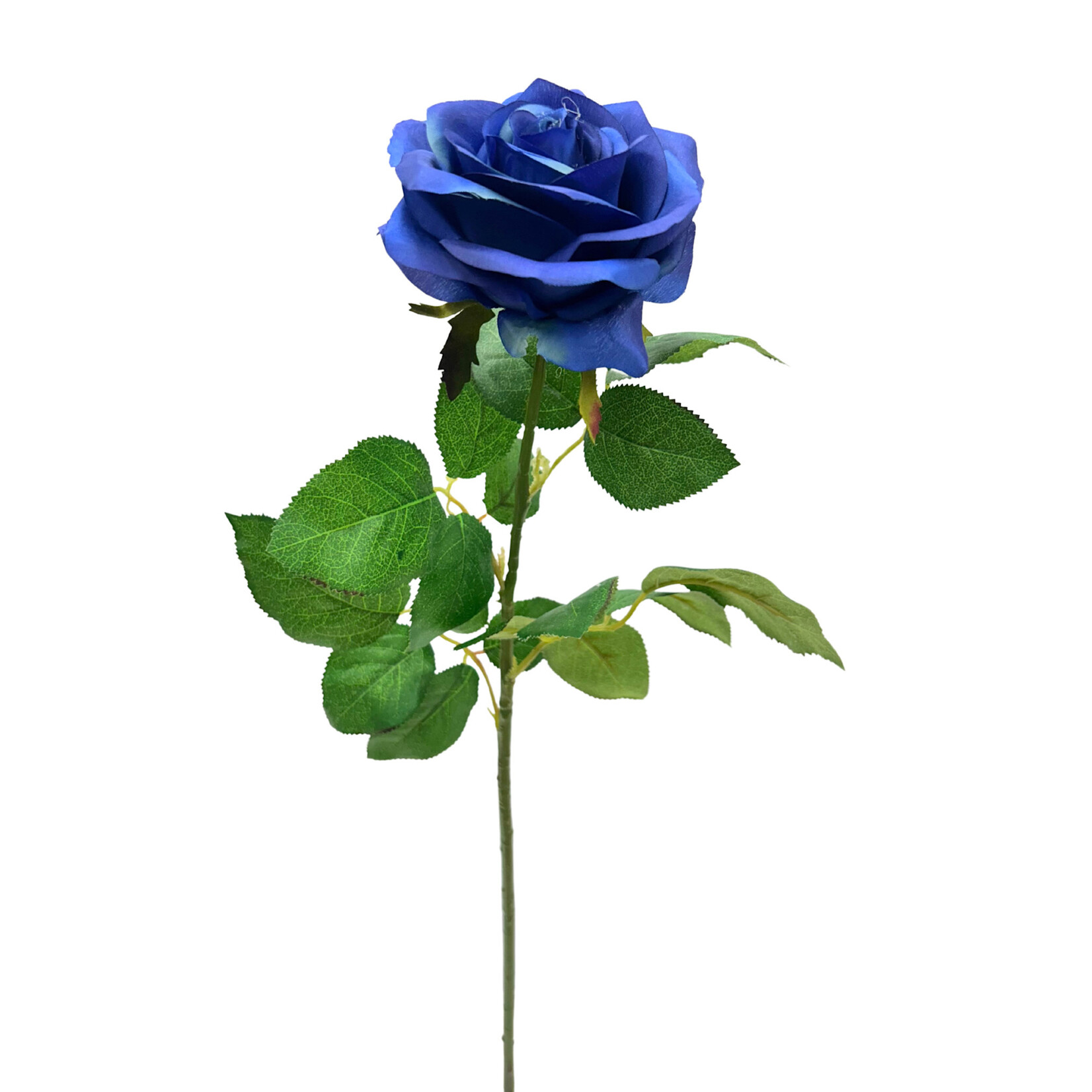 27.5" CONFETTI LG ROSE SPRAY BLUE