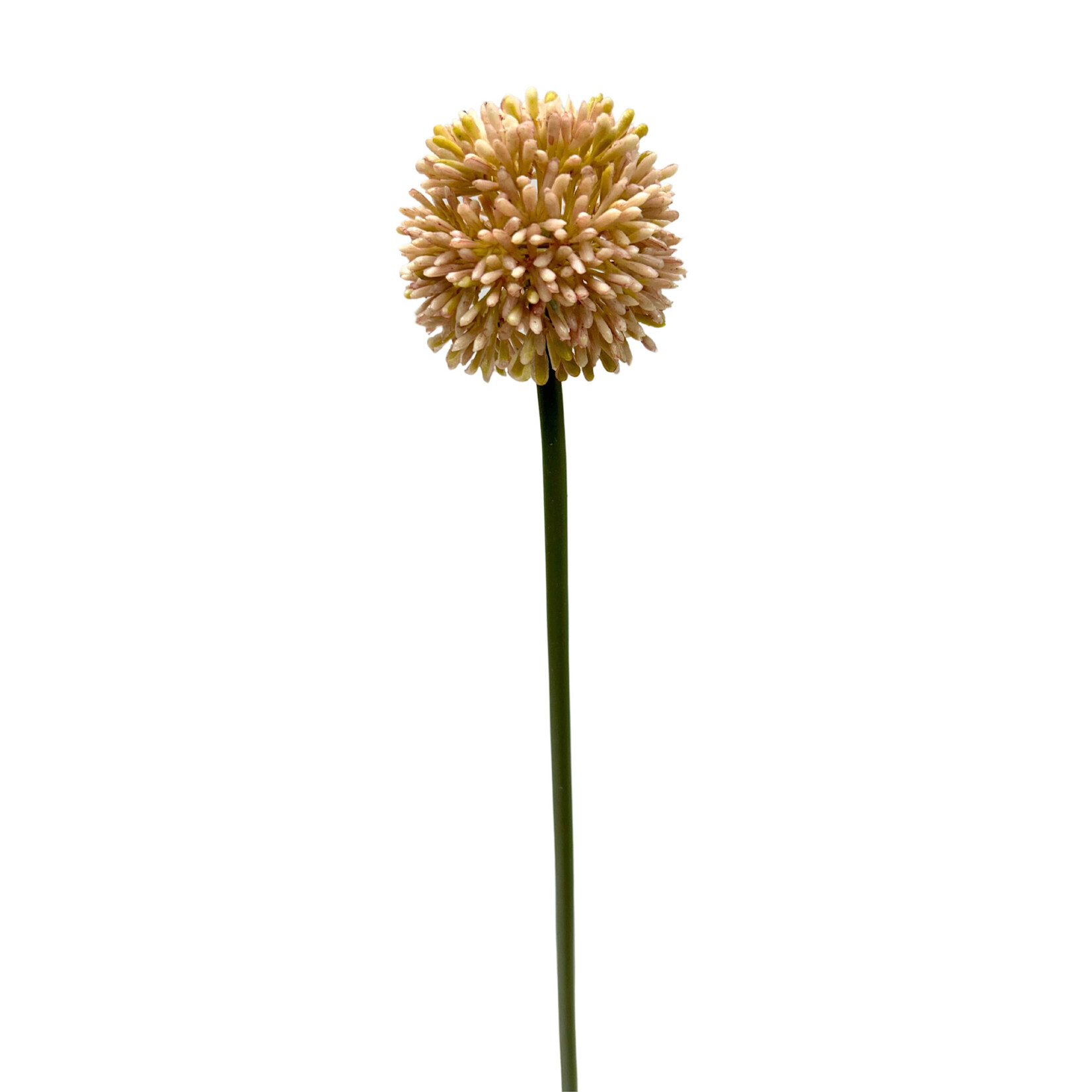 21.5" ALLIUM SPRAY MAUVE