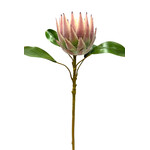 CSP500-PK/GN: 26" QUEEN PROTEA SPRAY PINK GREEN