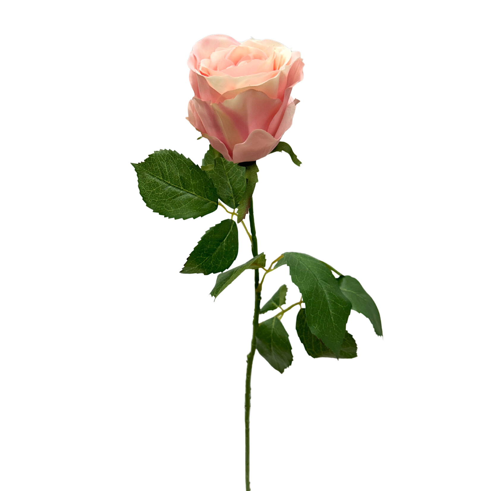 27.5" LG COTTAGE ROSE BUD SPRAY TWO TONE ROSE