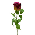 CSR419-EP/TT: 27.5" LG COTTAGE ROSE BUD SPRAY EGGPLANT