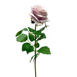 CSR320-AY: 27.5" CONFETTI LG ROSE SPRAY AMETHYST