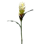 CSG316-WH: 40" GINGER FLOWER SPRAY WHITE
