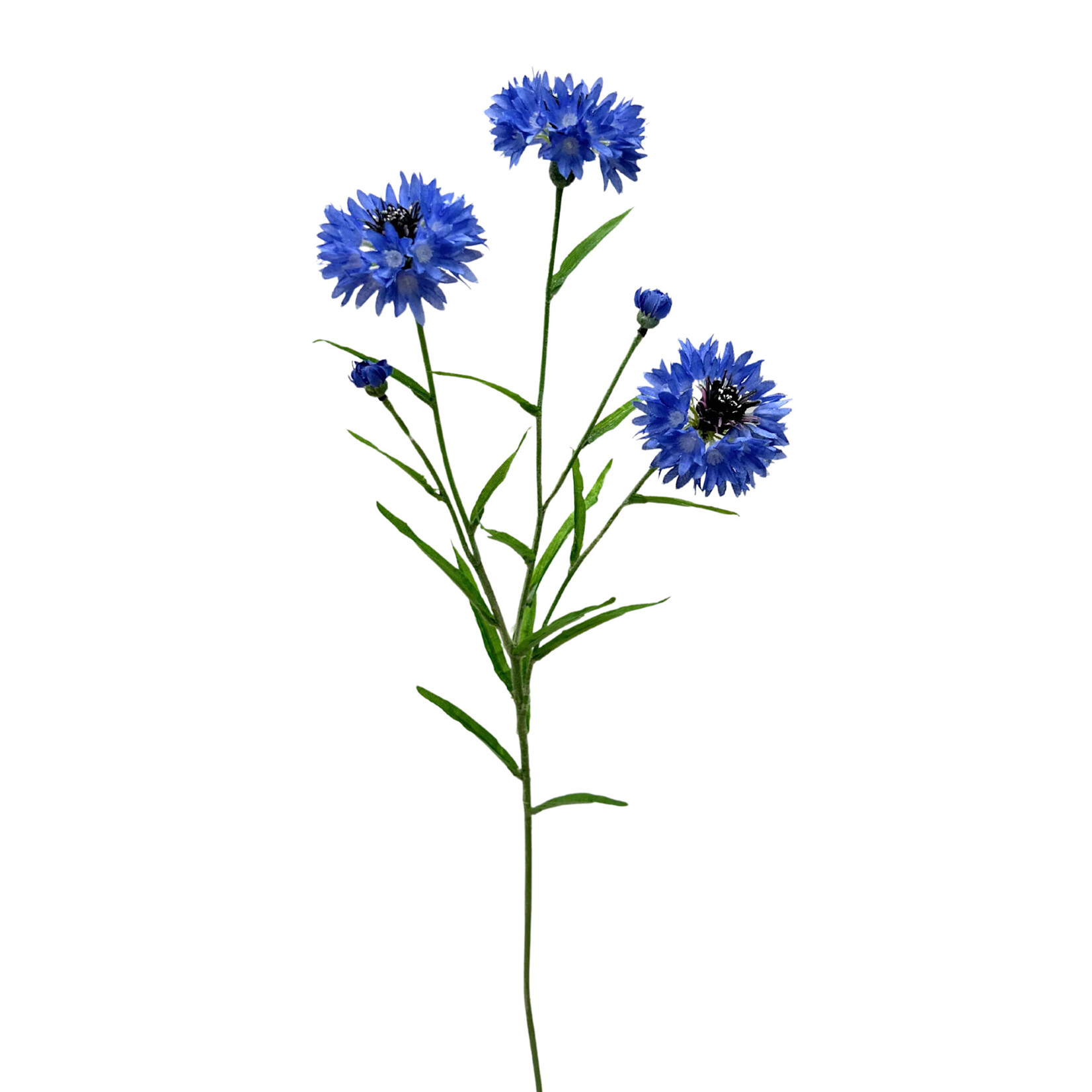 25.5" CORNFLOWER SPRAY BLUE