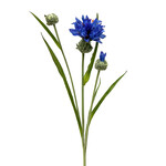 CSC292-BL/DK: 26" CORNFLOWER SPRAY DARK BLUE