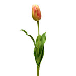 CST657-OR/GN: 24.5" CLOSED DUTCH TULIP ORANGE GREEN