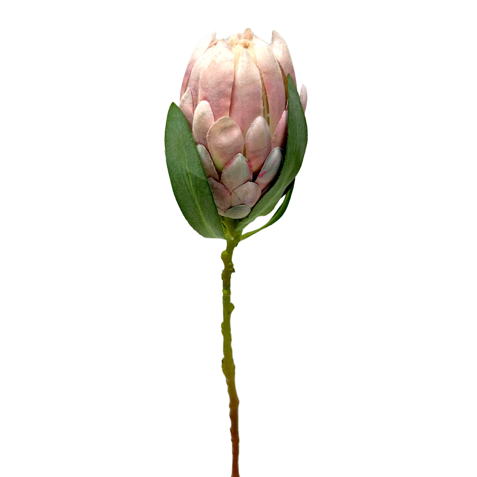 18.5" PROTEA BUD SPRAY LIGHT PINK
