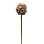 CSA040-LV: 21.5" ALLIUM SPRAY LAVENDER