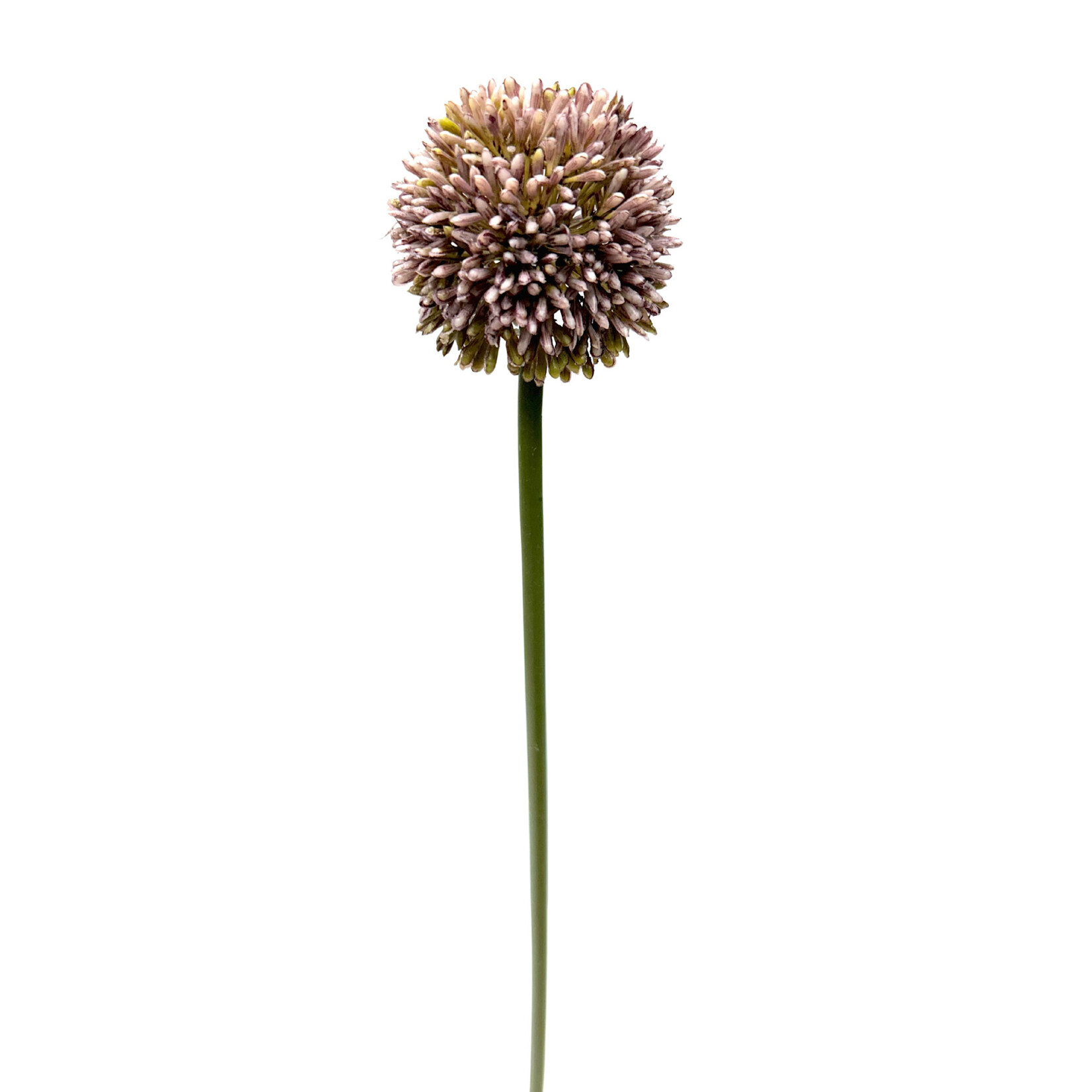 21.5" ALLIUM SPRAY LAVENDER