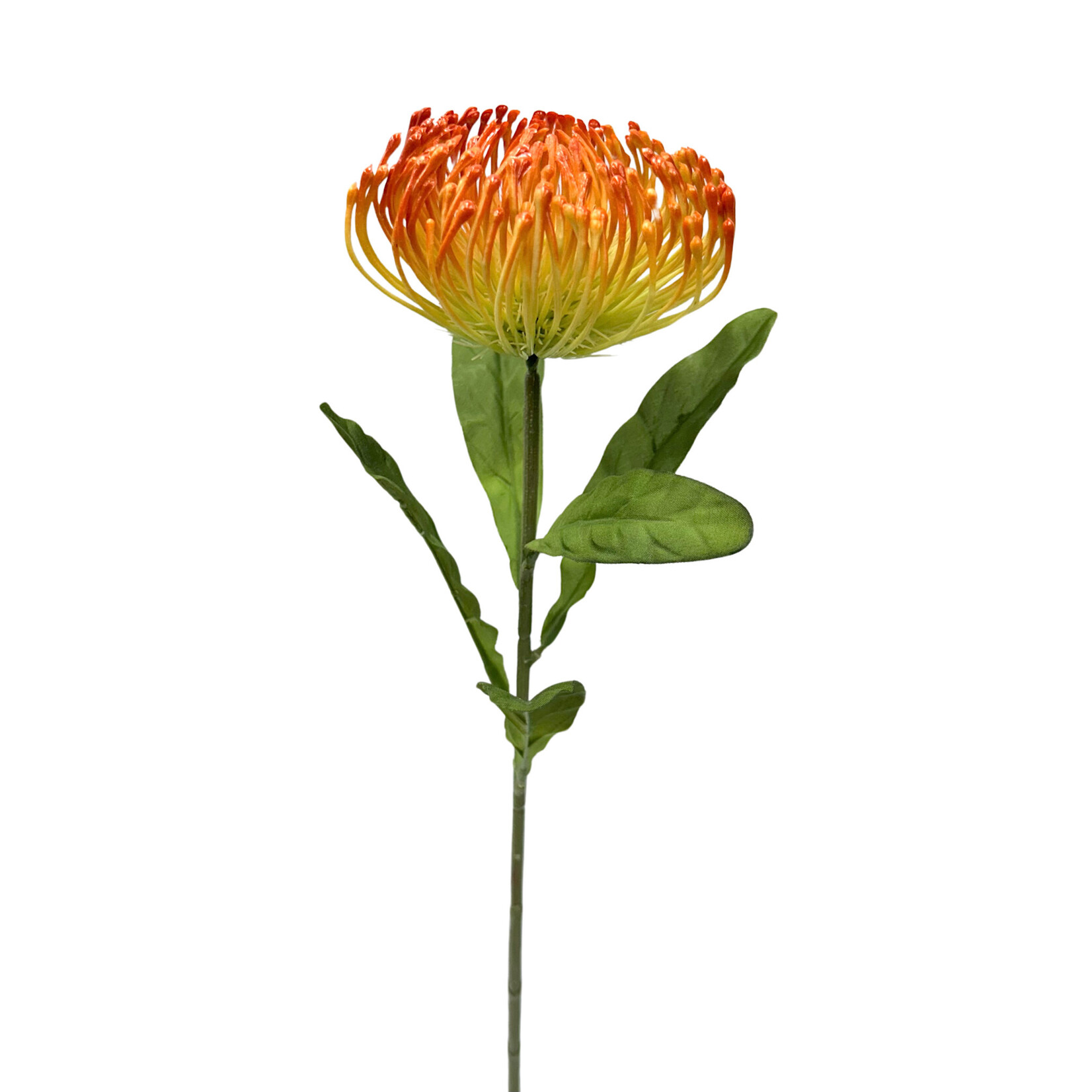 26" OPEN NEEDLE PROTEA SPRAY ORANGE