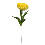 CSP572-YE: 26" OPEN NEEDLE PROTEA SPRAY YELLOW