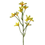 CSK802-YE: 28" KANGAROO PAW SPRAY YELLOW