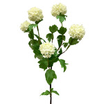 CSS745-CR: 38" SNOWBALL SPRAY CREAM