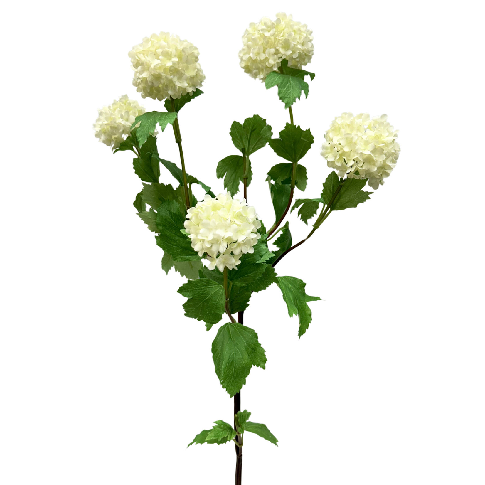 38" SNOWBALL SPRAY CREAM